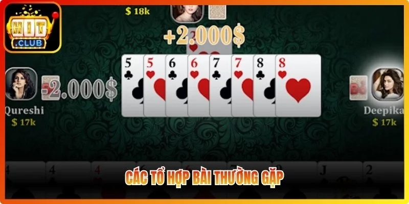 Các tổ hợp bài thường gặp